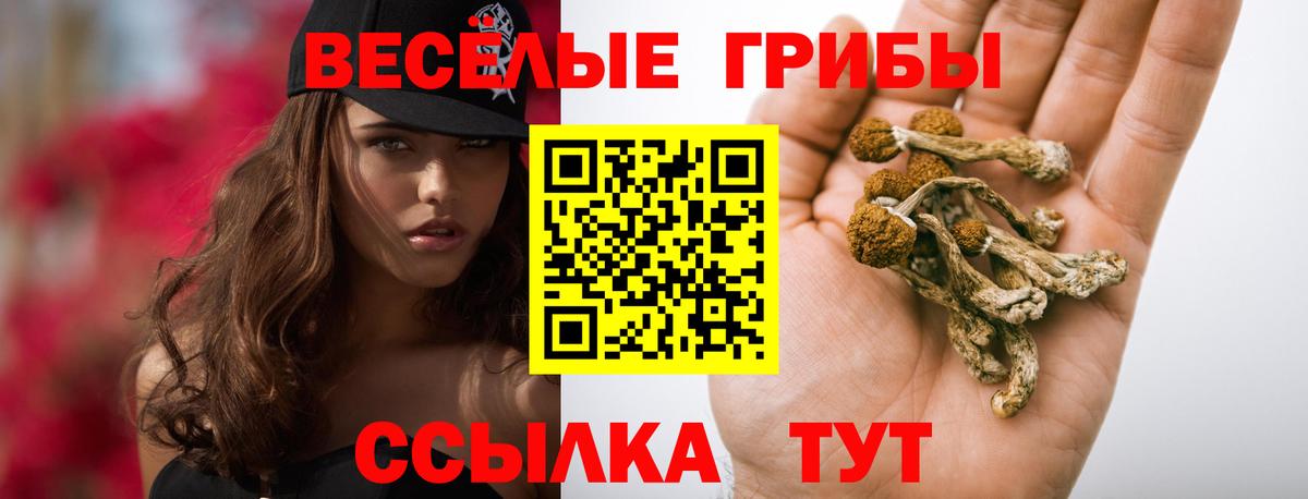 Псилоцибиновые грибы Psilocybine cubensis  Вход с VPN  Галлюциногенные грибы Magic Shrooms  купить закладку  Краснотурьинск 